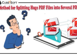 How to Split PDF pages into Small PDF files