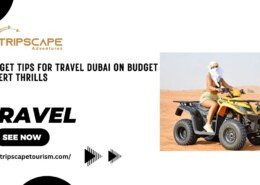 Budget Tips for Travel Dubai on Budget Desert Thrills