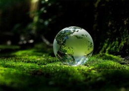 What Environmental Consultants Do