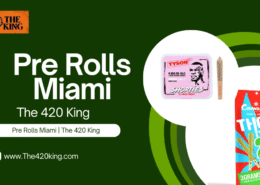 Best Pre Rolls Miami – Shop Tyson Shorties & Canabzy Pre Rolls Now