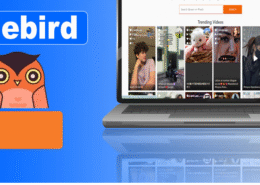 Urlebird vs TikTok: The Key Differences You Should Understand