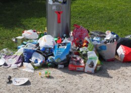 Tackling a garage cleanout in Orlando? What's the right dumpster size for me?