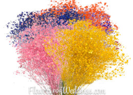 Why Hire a Direct Flowers For Weddings Provider