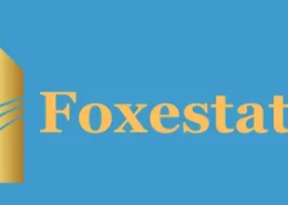 Michael Eavis Net Worth, Biography, Glastonbury Earnings & Wealth