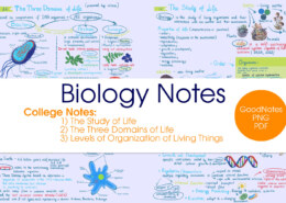 O Level Biology Notes for Exam Preparation and Success Guide